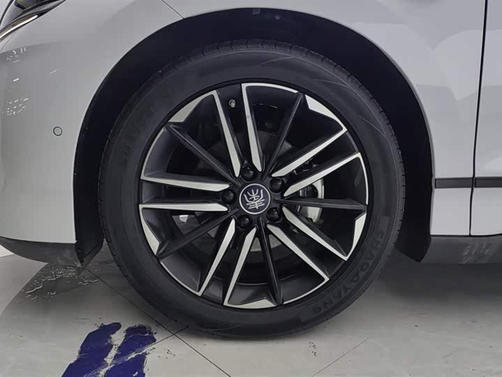 Фото 6 - BYD Qin L