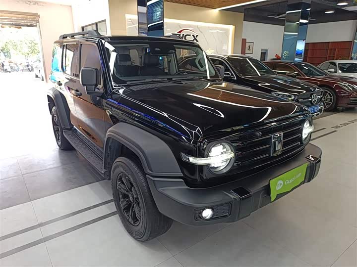 Фото 4 - Tank 300