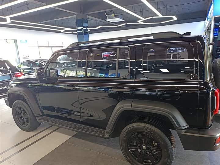 Фото 5 - Tank 300