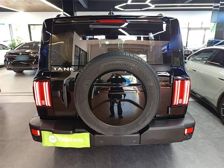 Фото 6 - Tank 300