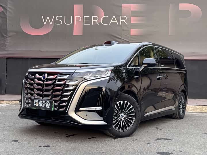 Фото 1 - Denza D9