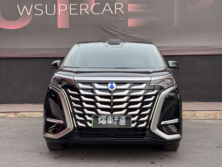 Фото 2 - Denza D9