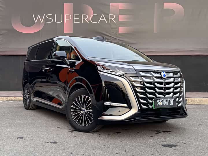 Фото 3 - Denza D9