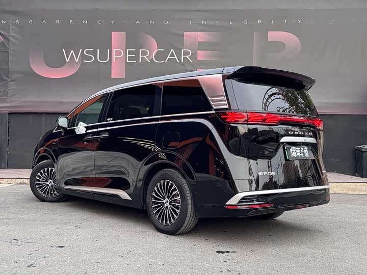 Фото 6 - Denza D9