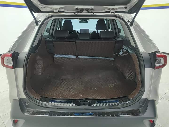 Фото 4 - Toyota Wildlander