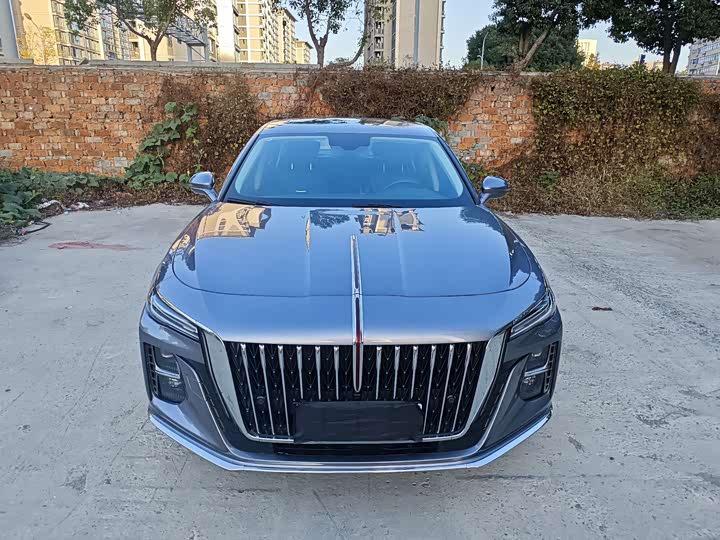 Фото 2 - Hongqi H5