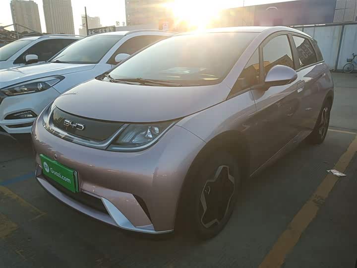 Фото 2 - BYD Dolphin