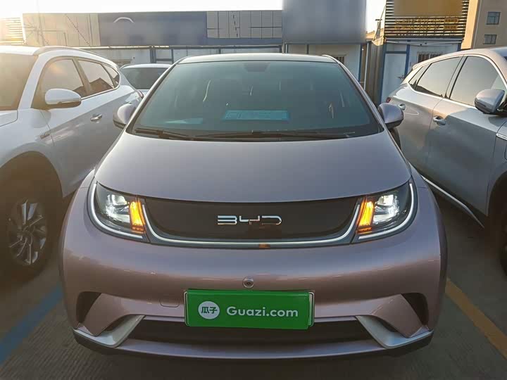 Фото 3 - BYD Dolphin