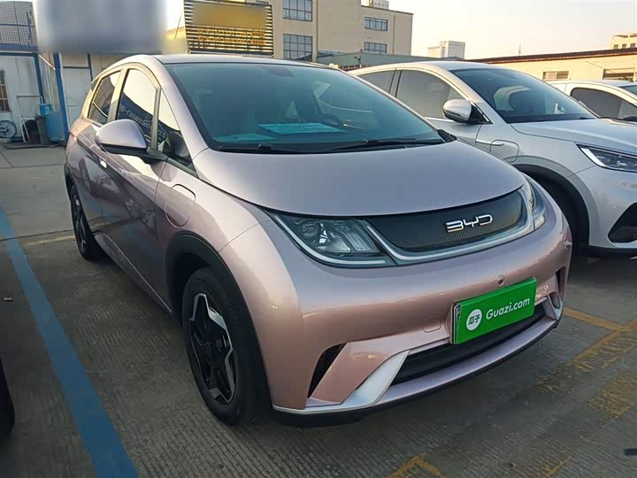 Фото 4 - BYD Dolphin