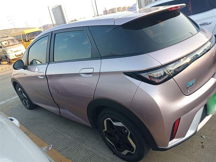 Фото 5 - BYD Dolphin