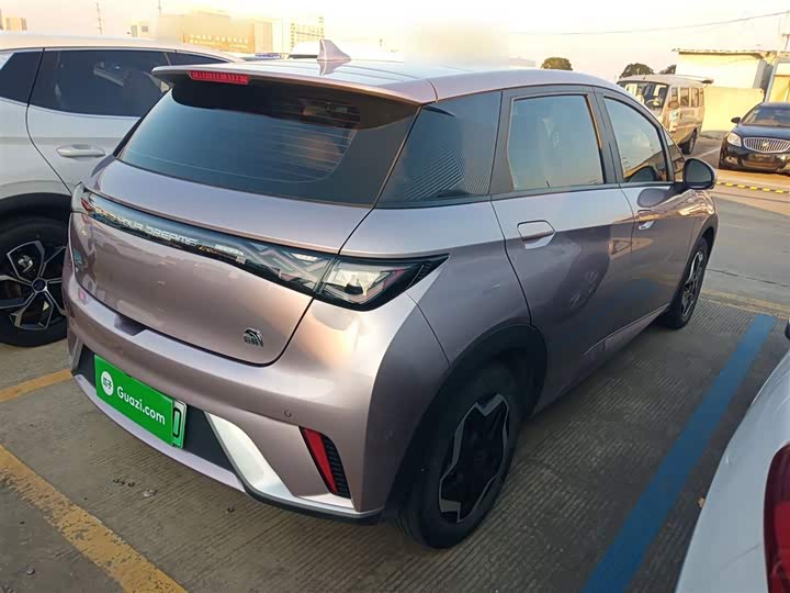 Фото 7 - BYD Dolphin