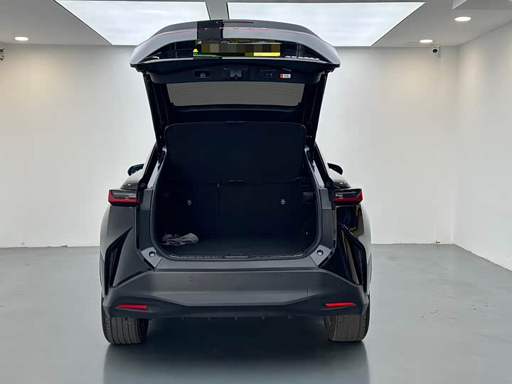 Фото 8 - Lexus RZ