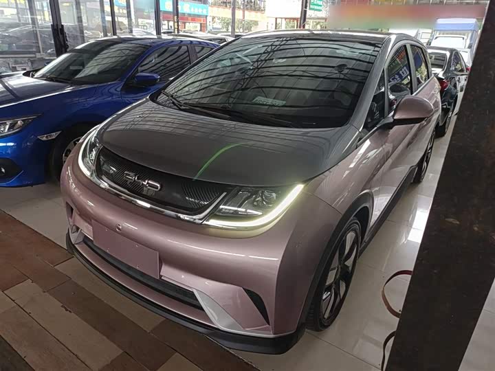 Фото 2 - BYD Dolphin