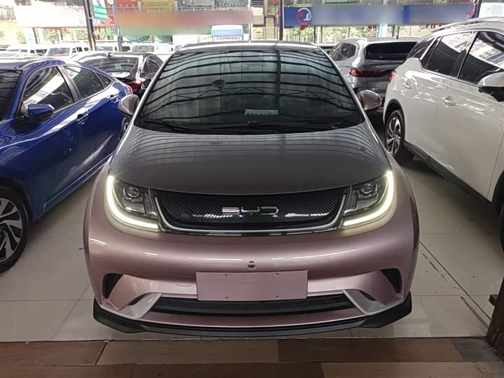 Фото 3 - BYD Dolphin