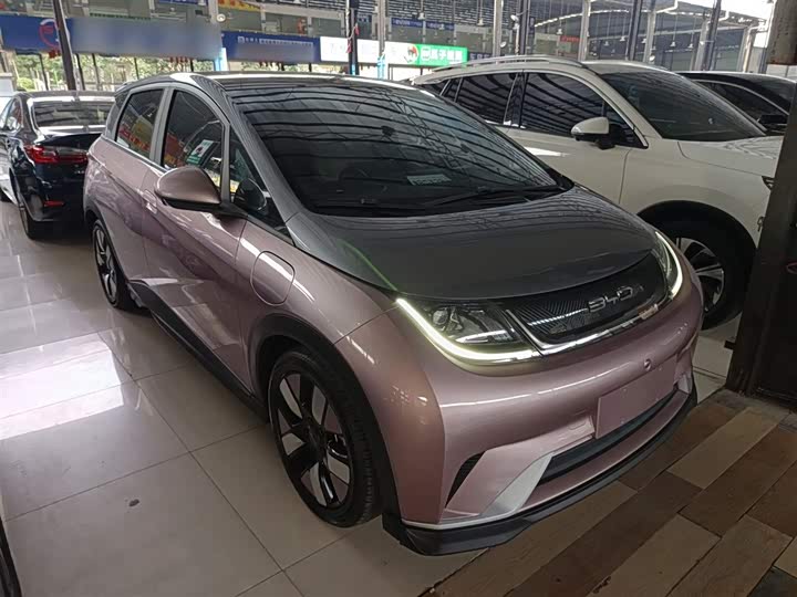 Фото 4 - BYD Dolphin