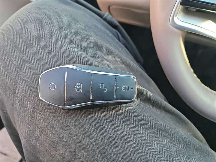 Фото 9 - BYD Han