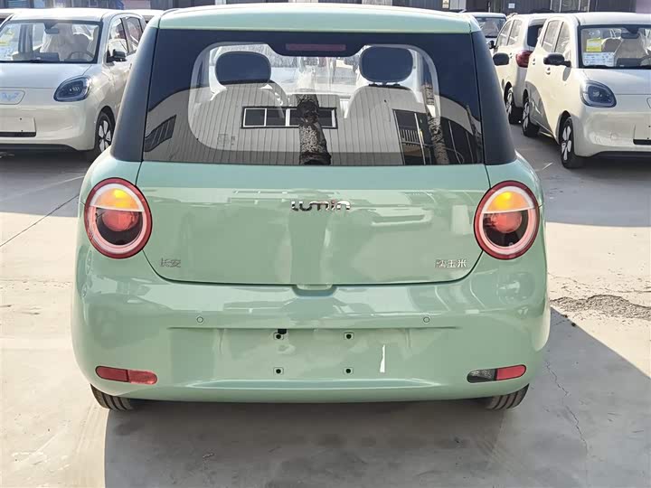 Фото 6 - Changan Qiyuan (Nevo) Lumin