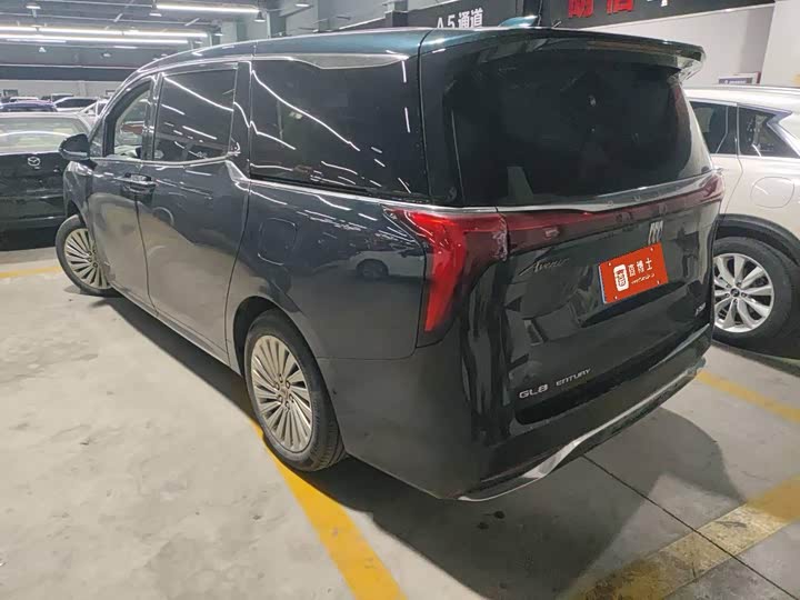 Фото 7 - Buick GL8 Century