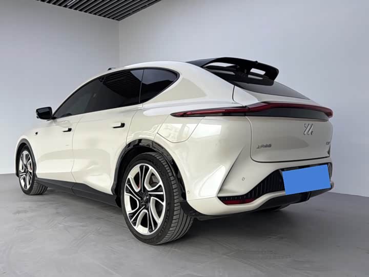 Фото 5 - IM motors LS7