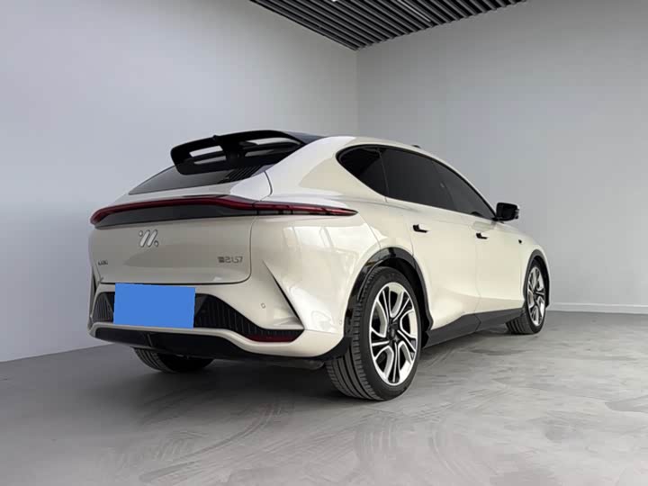 Фото 7 - IM motors LS7