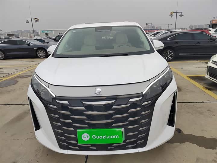 Фото 3 - BYD Xia