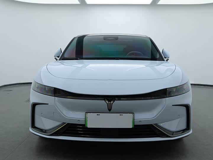 Фото 2 - Voyah Passion