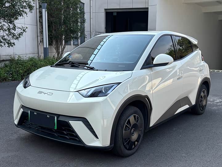 Фото 1 - BYD Seagull