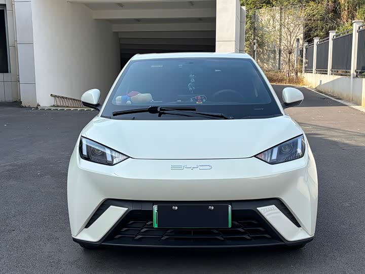 Фото 2 - BYD Seagull