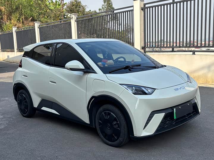 Фото 3 - BYD Seagull