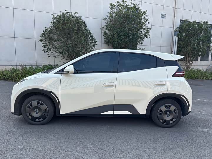 Фото 4 - BYD Seagull