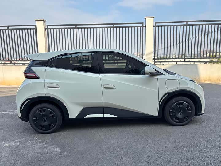 Фото 5 - BYD Seagull