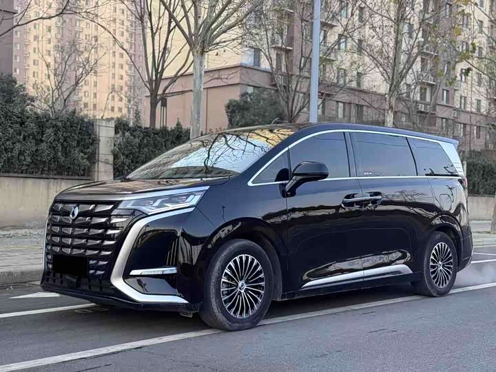 Фото 1 - Denza D9