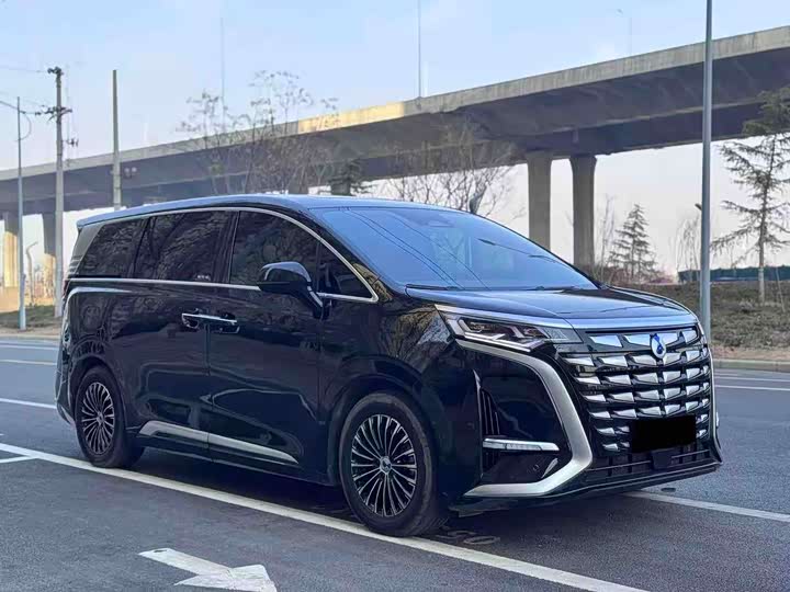 Фото 2 - Denza D9