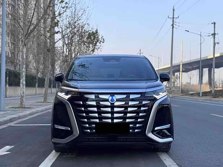 Фото 3 - Denza D9