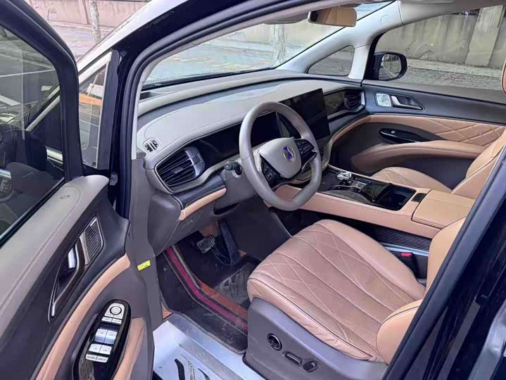 Фото 4 - Denza D9