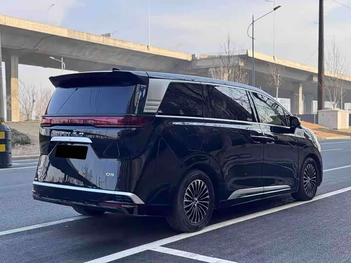 Фото 8 - Denza D9