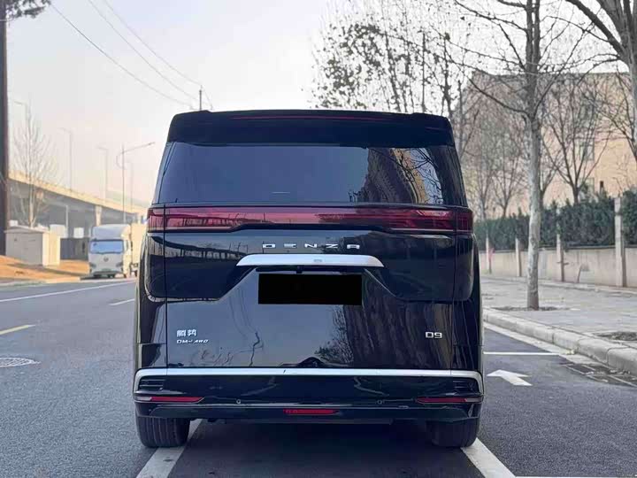 Фото 9 - Denza D9