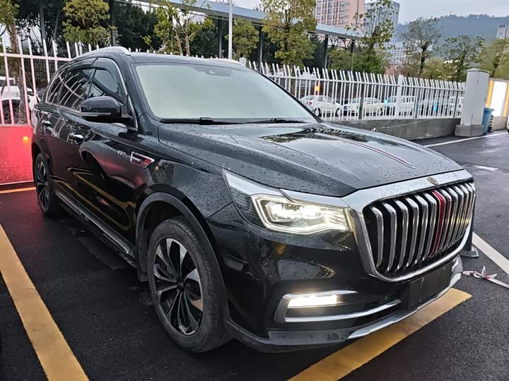Фото 4 - Hongqi HS7
