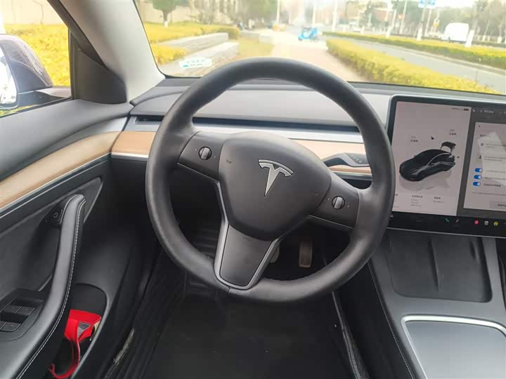 Фото 3 - Tesla Model 3