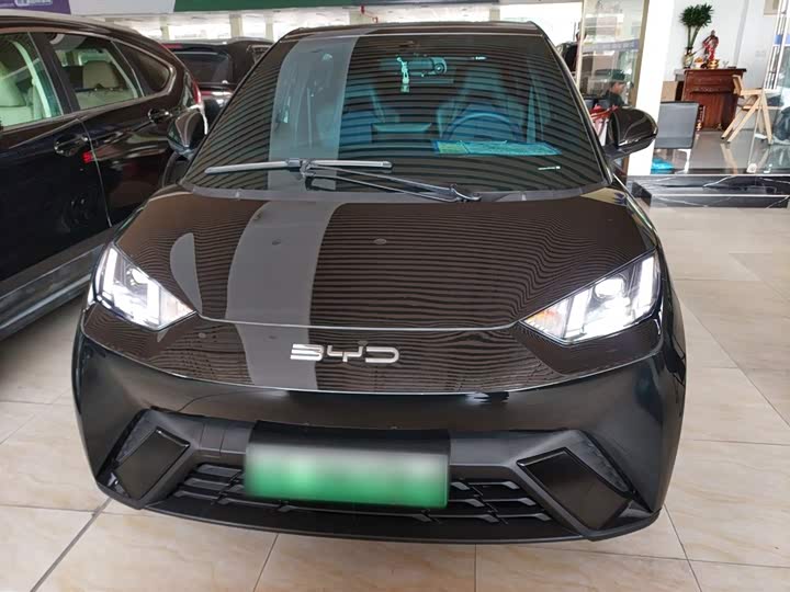 Фото 3 - BYD Seagull