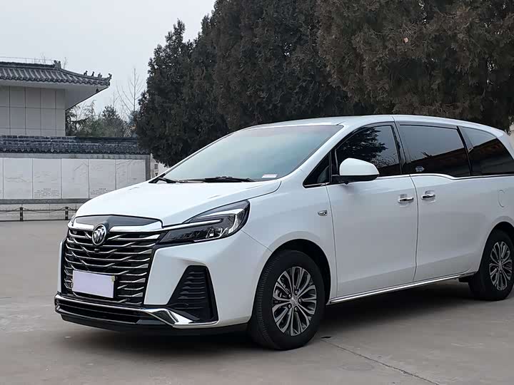 Фото 1 - Buick GL8 ES