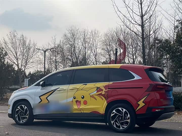 Фото 5 - Hyundai Custo