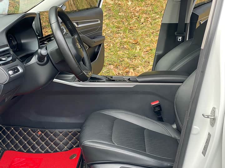 Фото 6 - Geely Emgrand