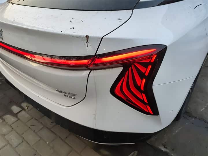 Фото 8 - Hongqi EH7