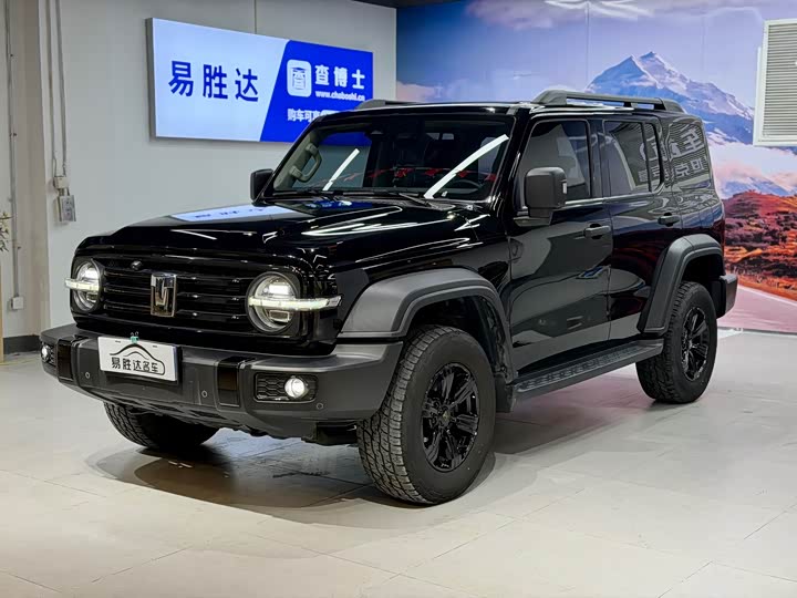 Фото 1 - Tank 300