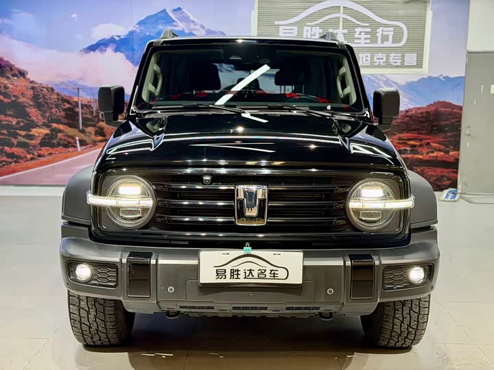 Фото 2 - Tank 300