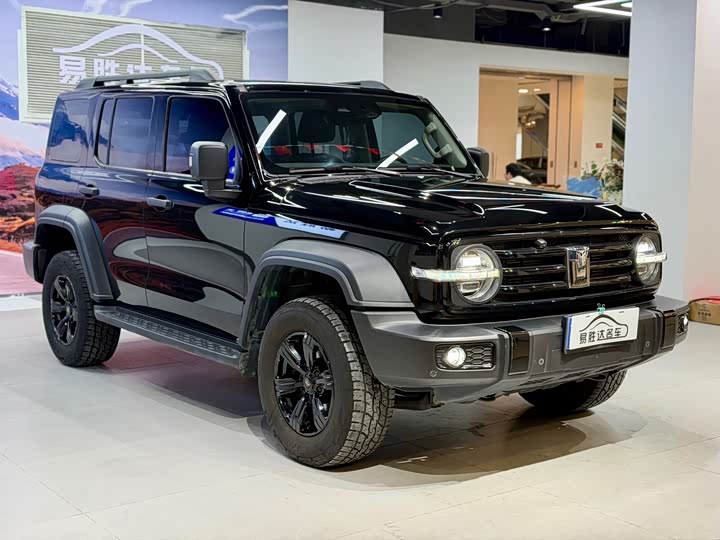 Фото 3 - Tank 300