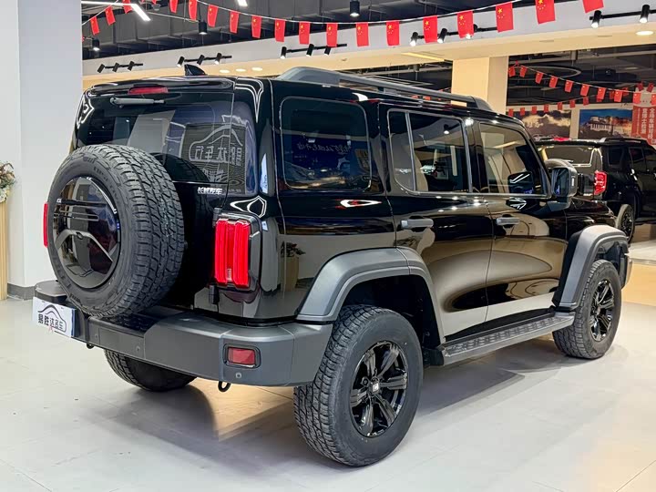 Фото 5 - Tank 300