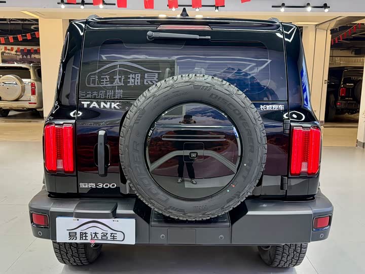 Фото 6 - Tank 300