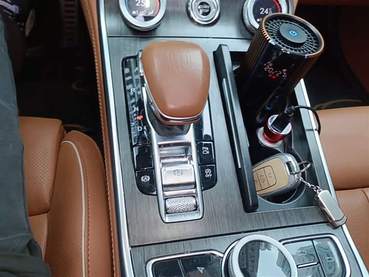 Фото 7 - Hongqi H9